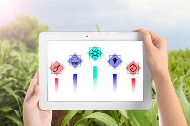 Image of Modern agriculture. Woman with tablet in corn field, closeup