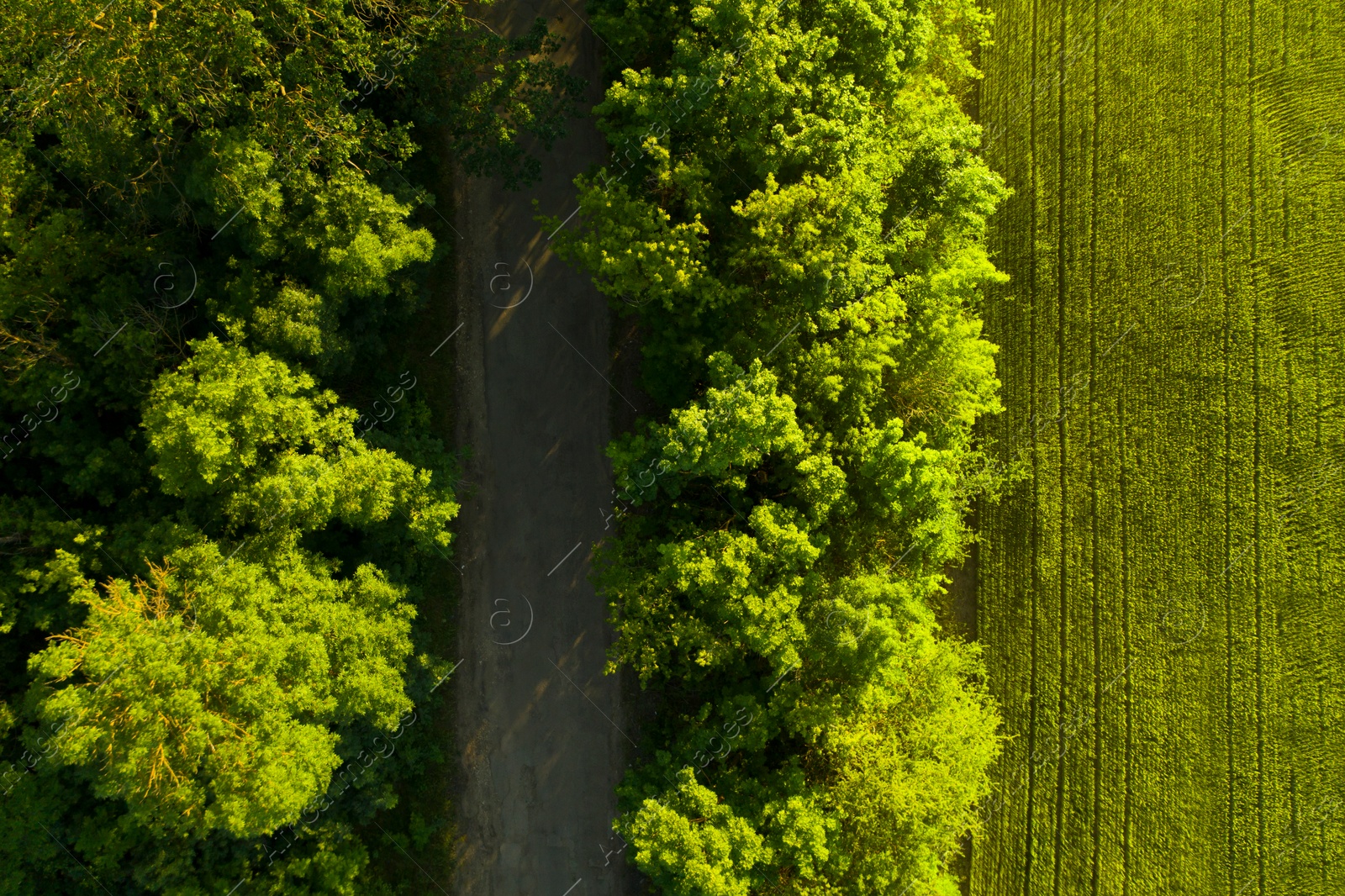 Image of Beautiful aerial view of green field and empty road