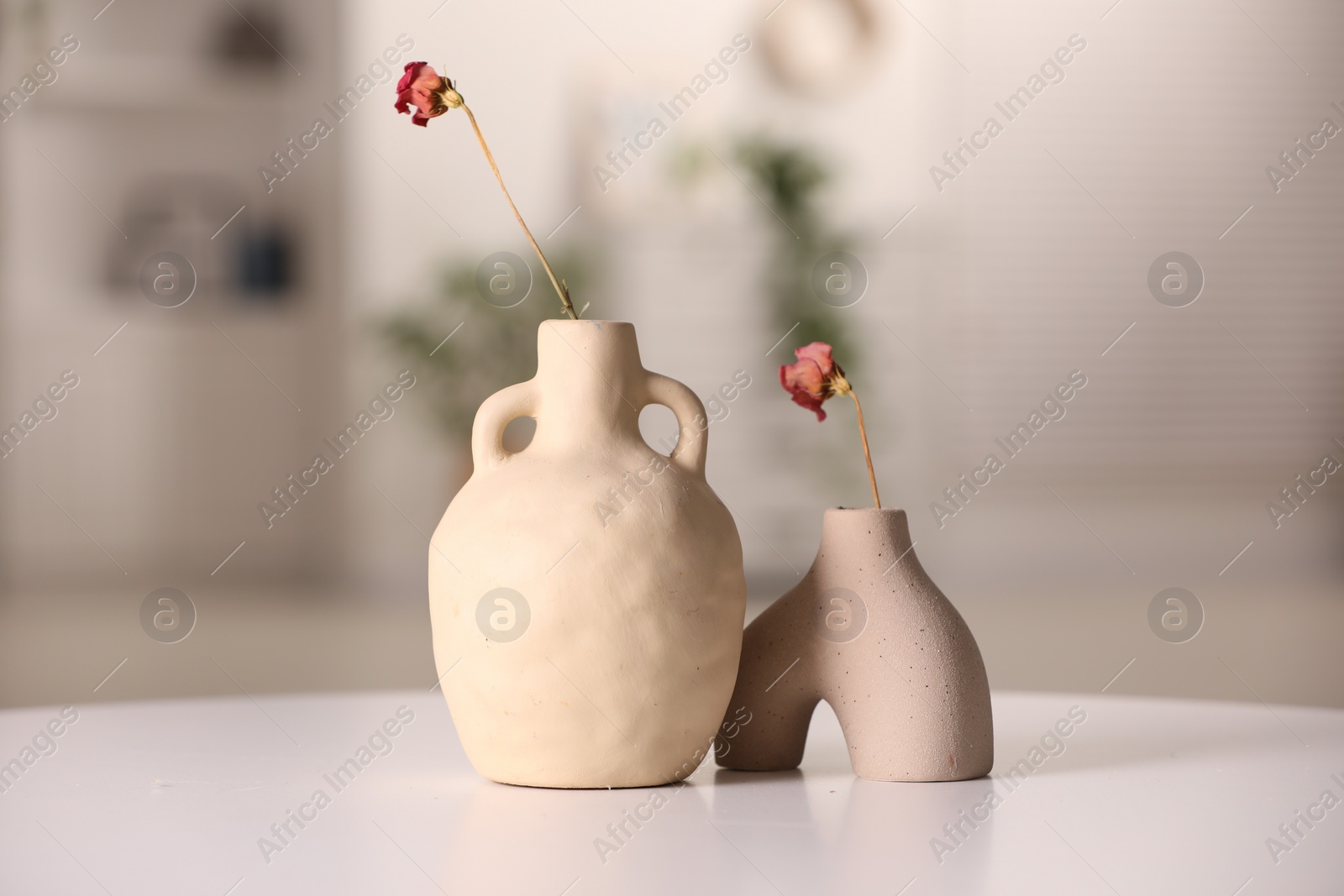 Photo of Vases with dried flowers on white table in room