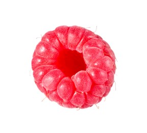 One tasty ripe raspberry isolated on white