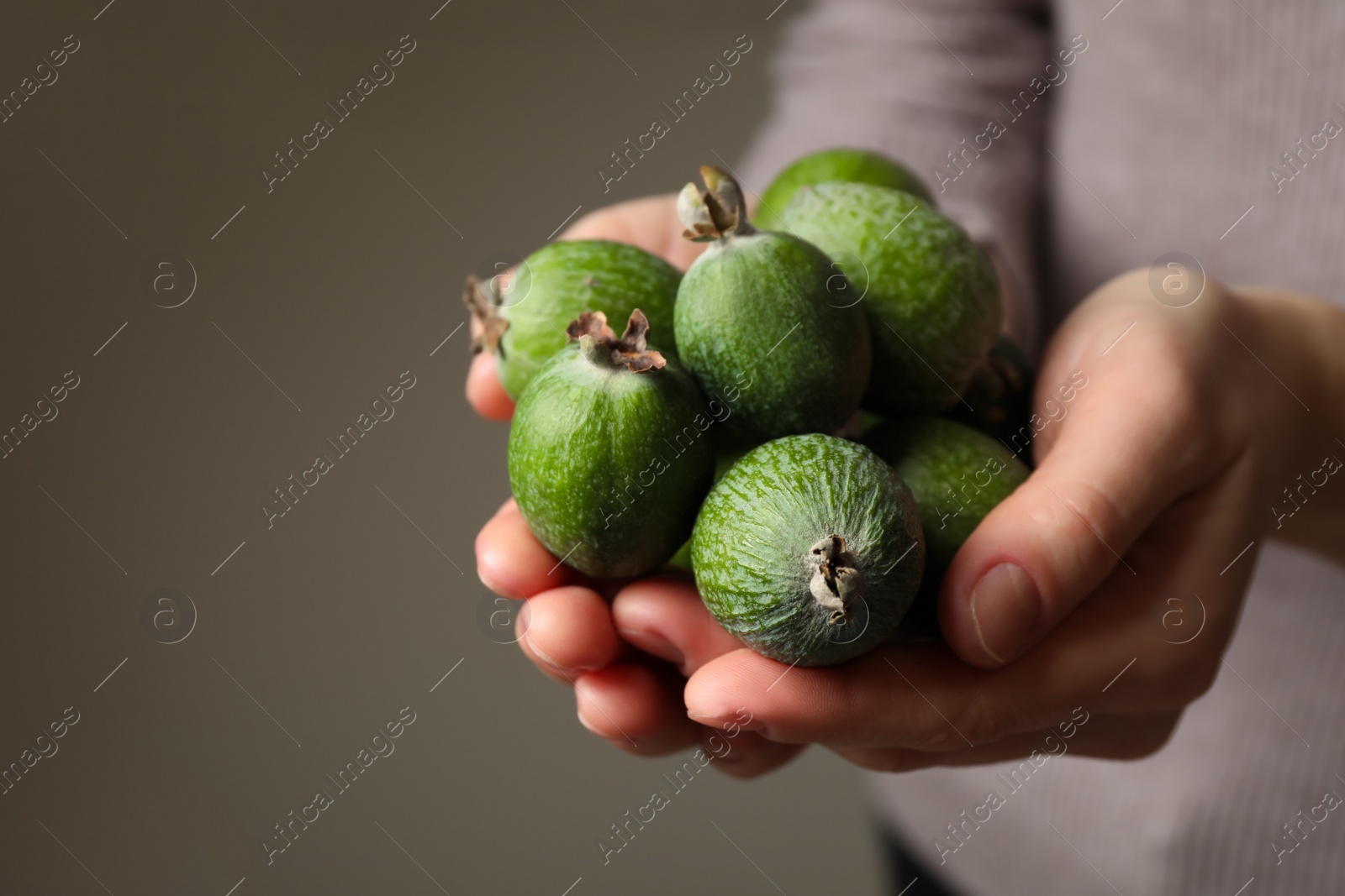 Photo of Woman holding fresh green feijoa fruits on grey background, closeup