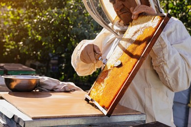 Senior beekeeper uncapping honeycomb frame with knife at table outdoors