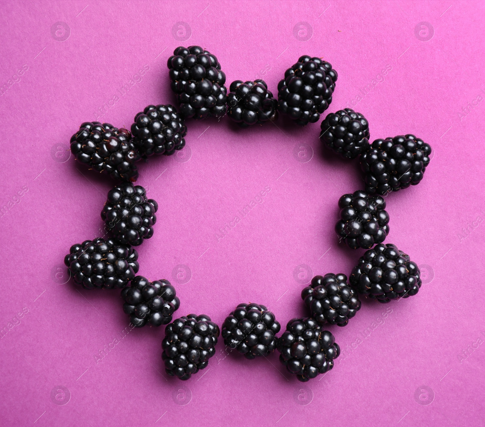 Photo of Frame of ripe blackberries on purple background, flat lay. Space for text