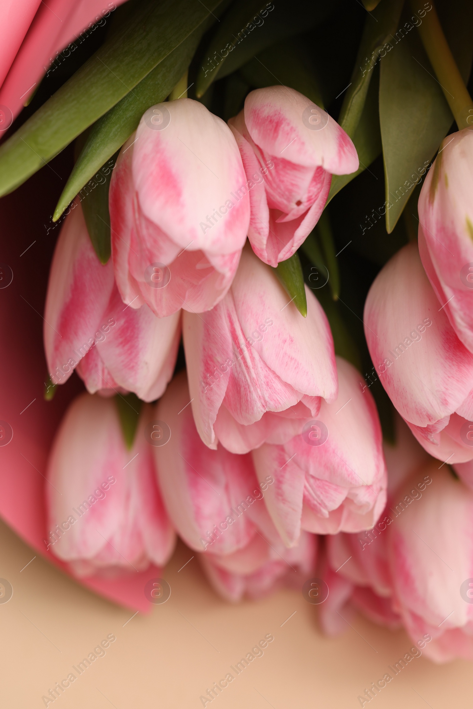 Photo of Beautiful bouquet of fresh pink tulips on beige background, closeup