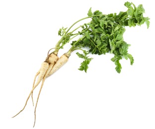 Photo of Tasty fresh ripe parsnips on white background, top view