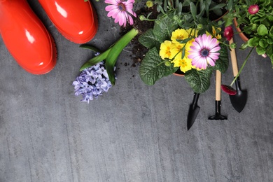 Flat lay composition with gardening equipment and flowers on color background, space for text