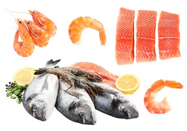 Image of Set with fresh raw dorado fish and other tasty seafood on white background