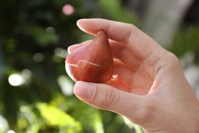 Woman holding tulip bulb on blurred background, closeup