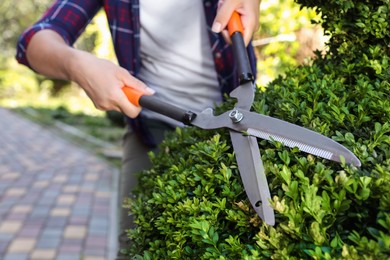 Photo of Woman trimming bush on sunny day, closeup. Gardening time