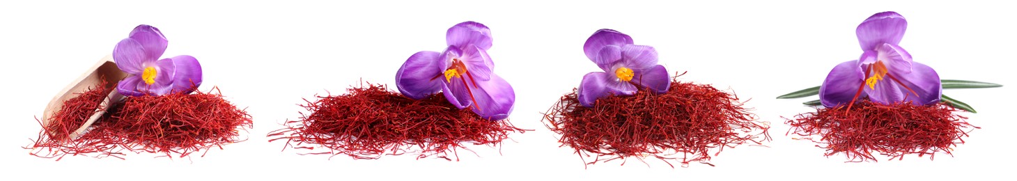 Image of Set with dried saffron and crocus flowers on white background. Banner design 