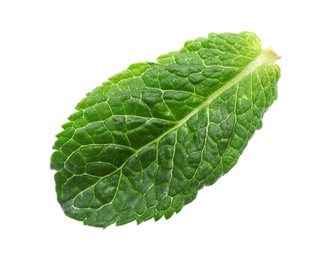 Photo of Green leaf of fresh aromatic mint isolated on white