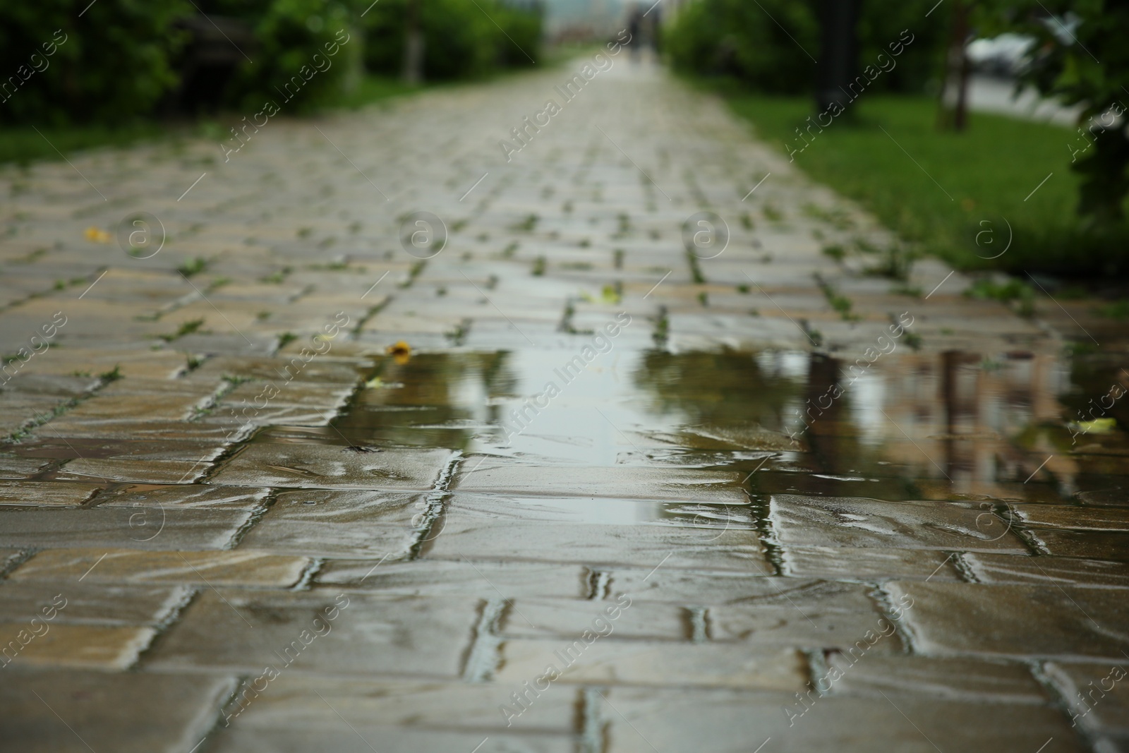 Photo of Puddle after rain on street tiles outdoors, selective focus