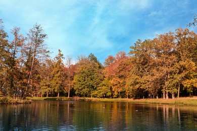 Picturesque view of park with beautiful trees and lake. Autumn season