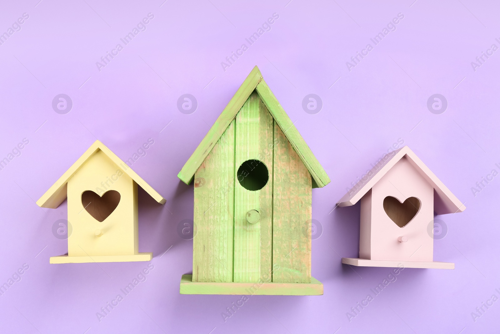 Photo of Beautiful bird houses on violet background, flat lay