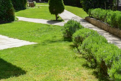Photo of Green lawn with fresh grass, bushes and trees outdoors on sunny day