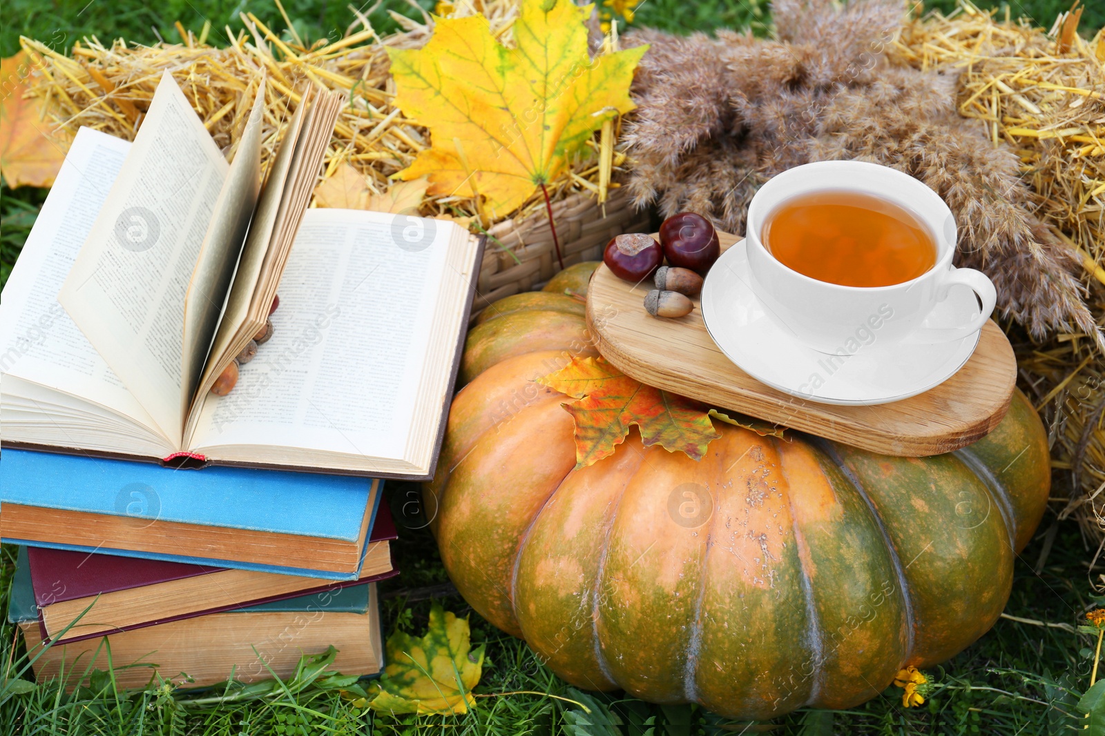 Photo of Books, pumpkin, apples and cup of tea on green grass outdoors. Autumn season