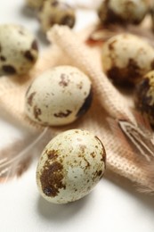 Photo of Speckled quail eggs and feathers on white table, closeup