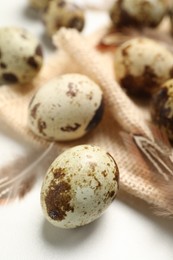 Speckled quail eggs and feathers on white table, closeup