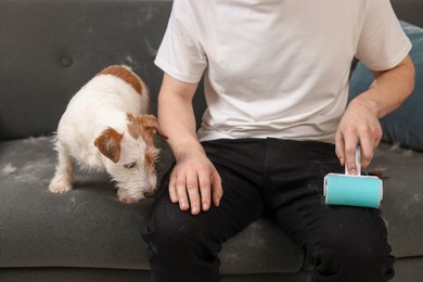 Pet shedding. Man with lint roller removing dog's hair from pants, closeup