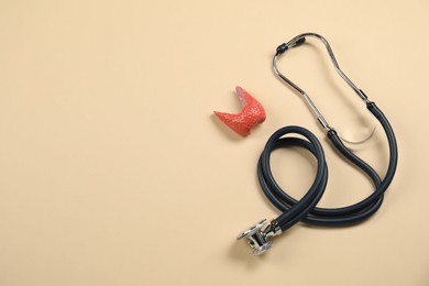 Photo of Endocrinology. Stethoscope and model of thyroid gland on beige background, top view. Space for text