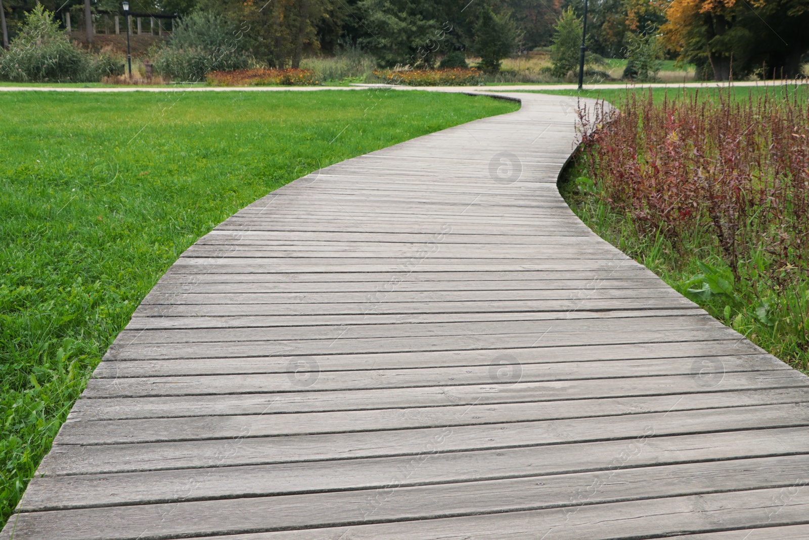 Photo of Beautiful public city park with pathway and green grass