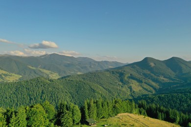 Aerial view of forest clearing and beautiful conifer trees in mountains on sunny day