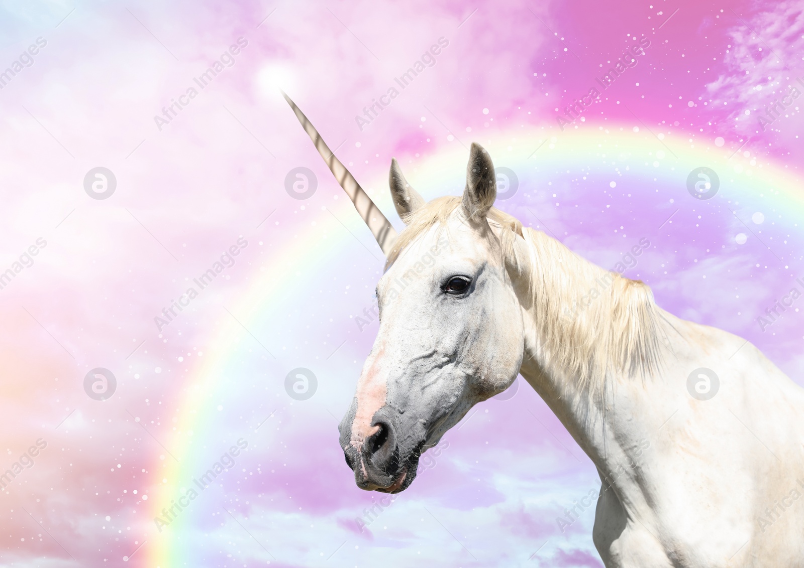 Image of Magic unicorn in beautiful sky with rainbow and fluffy clouds. Fantasy world