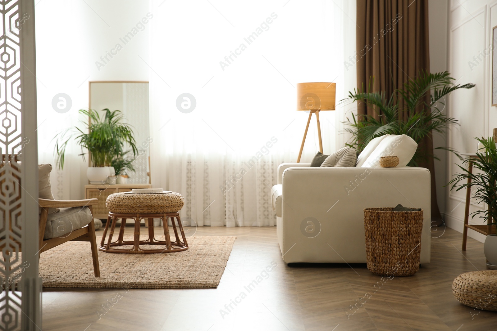 Photo of Beautiful potted house plants in stylish living room