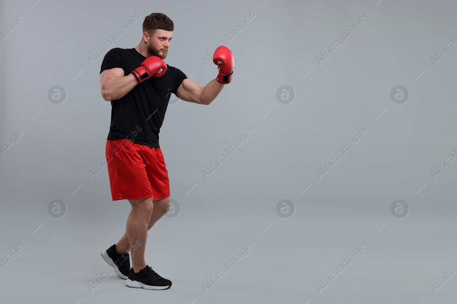 Photo of Man in boxing gloves fighting on grey background. Space for text