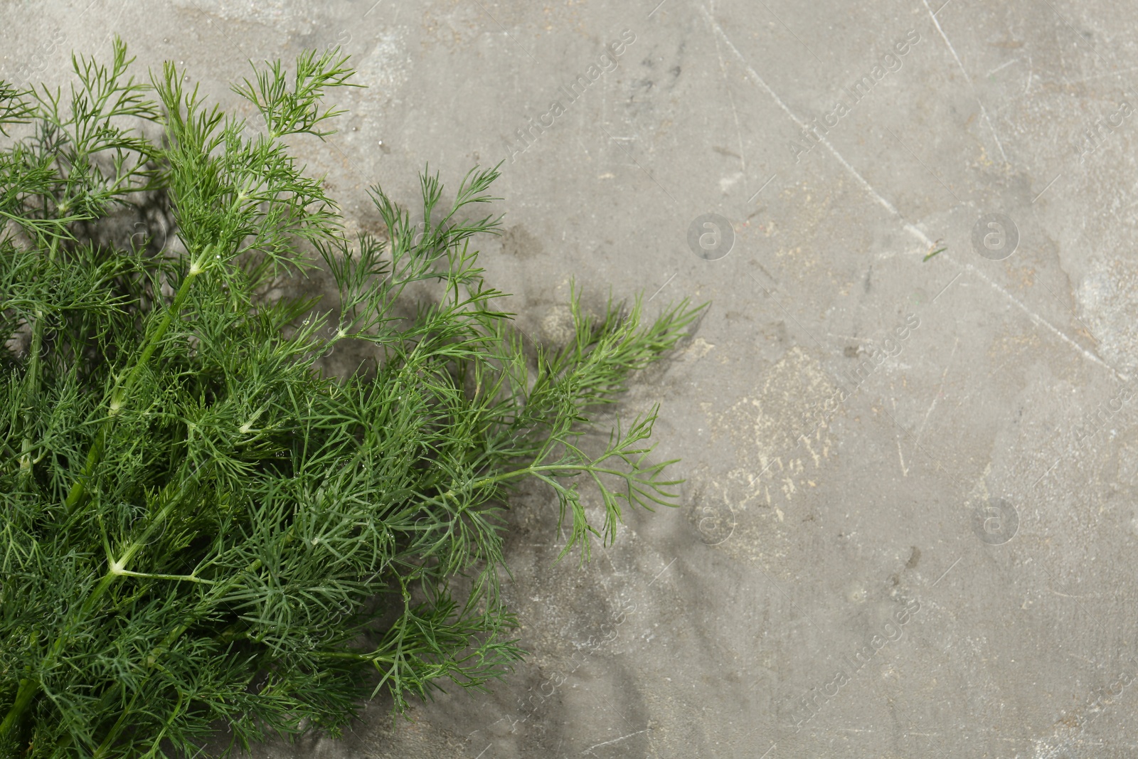 Photo of Fresh green dill on grey table, top view. Space for text