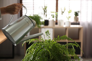 Photo of Woman watering fern indoors, closeup. Home plant