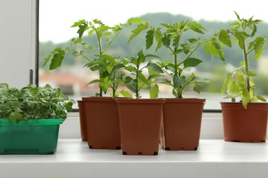 Photo of Different seedlings growing in plastic containers with soil on windowsill indoors