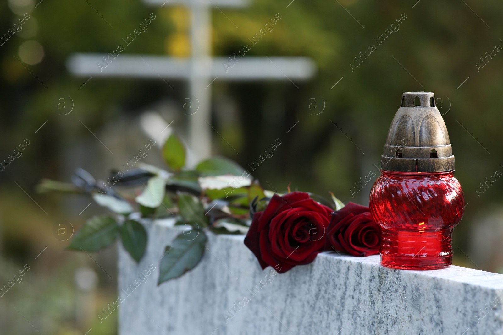 Photo of Red roses and grave lantern on tombstone outdoors, space for text. Funeral ceremony