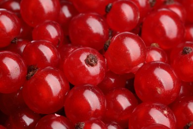 Photo of Many tasty fresh red currants as background, closeup