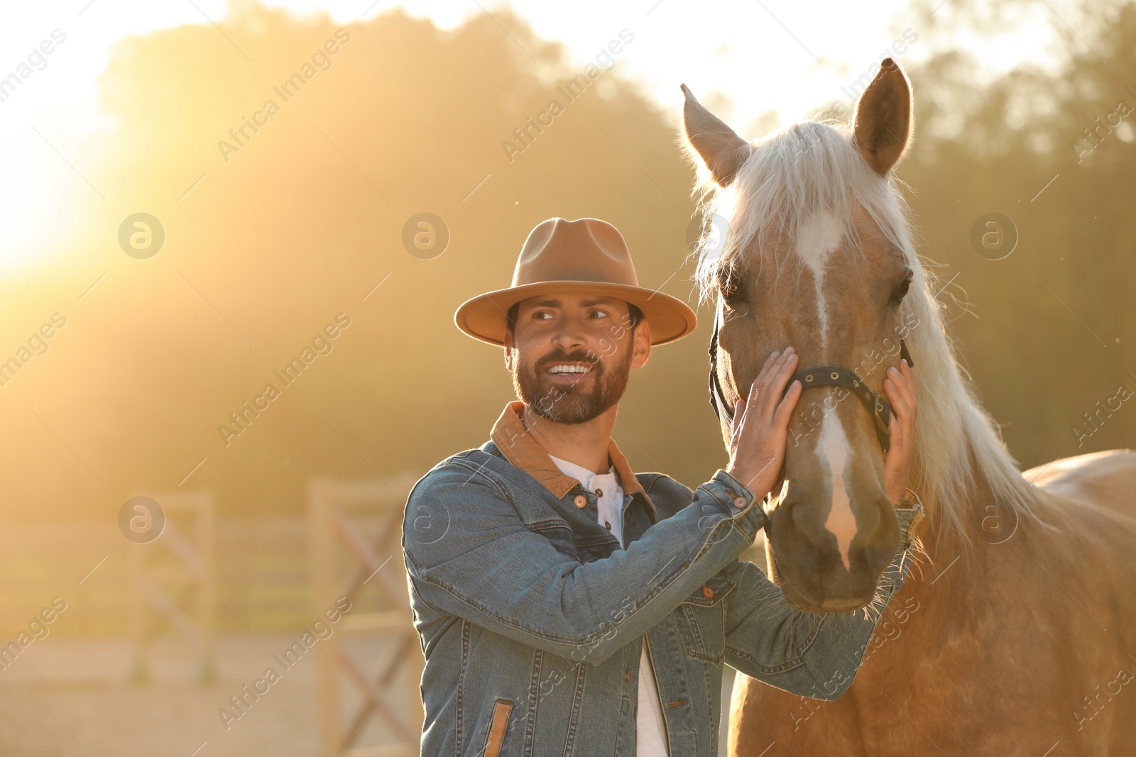 Photo of Man with adorable horse outdoors on sunny day, space for text. Lovely domesticated pet