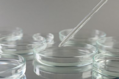 Photo of Pipette over petri dish on mirror surface, closeup