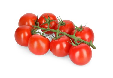 Photo of Branch of red ripe cherry tomatoes isolated on white