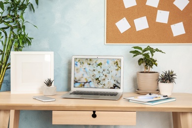 Photo of Houseplants and laptop on table in office interior