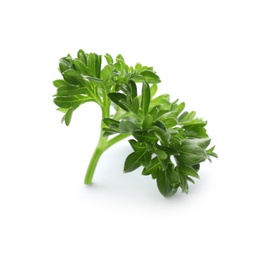 Photo of Fresh green parsley on white background