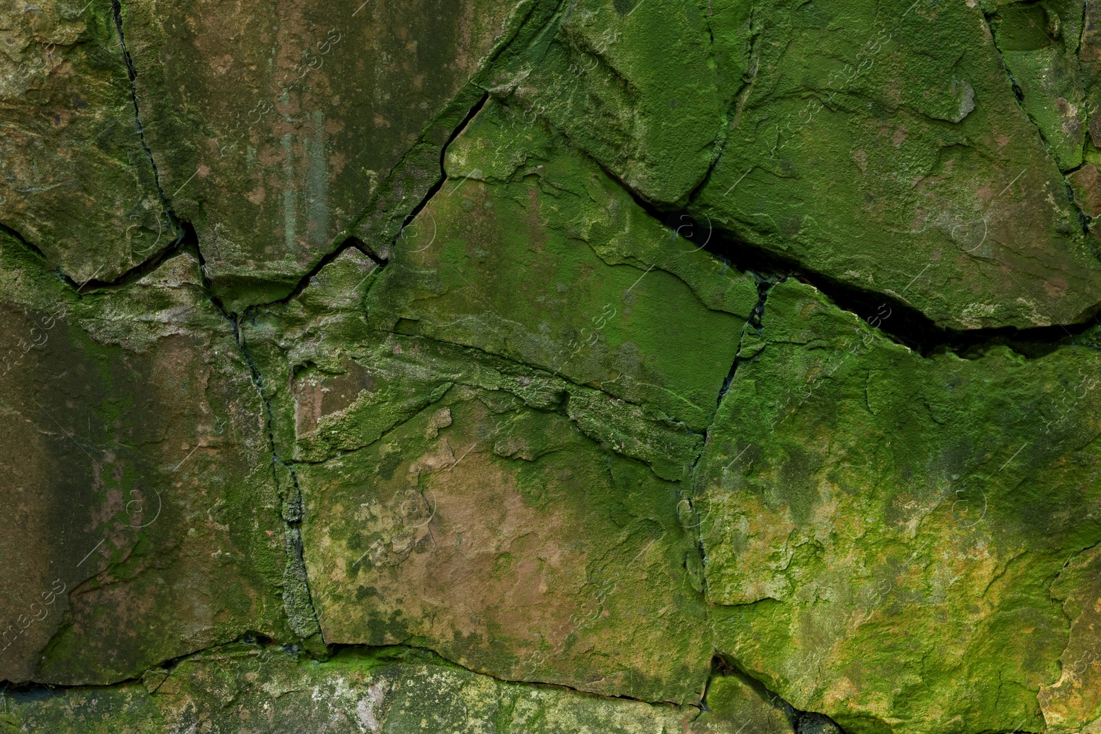 Photo of Stone wall overgrown with green moss outdoors, closeup