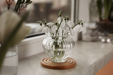 Photo of Spring is coming. Beautiful snowdrops on windowsill indoors