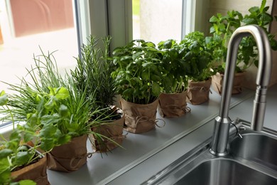Photo of Different aromatic potted herbs on window sill near kitchen sink