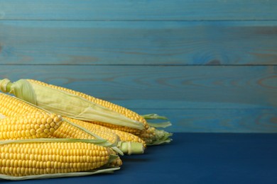 Photo of Corncobs with husks on blue wooden table. Space for text
