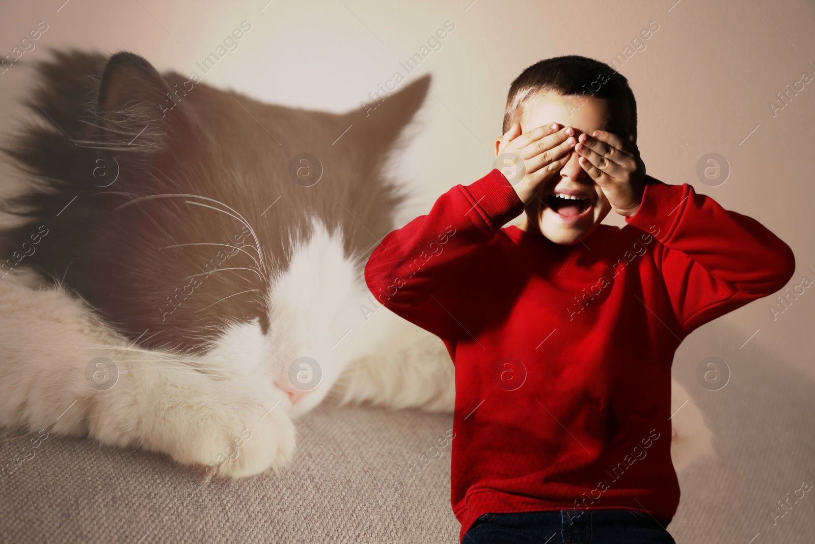 Image of Little boy suffering from ailurophobia. Irrational fear of cats