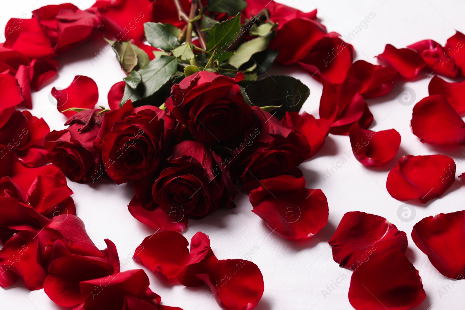 Photo of Honeymoon. Roses and beautiful petals on bed, closeup