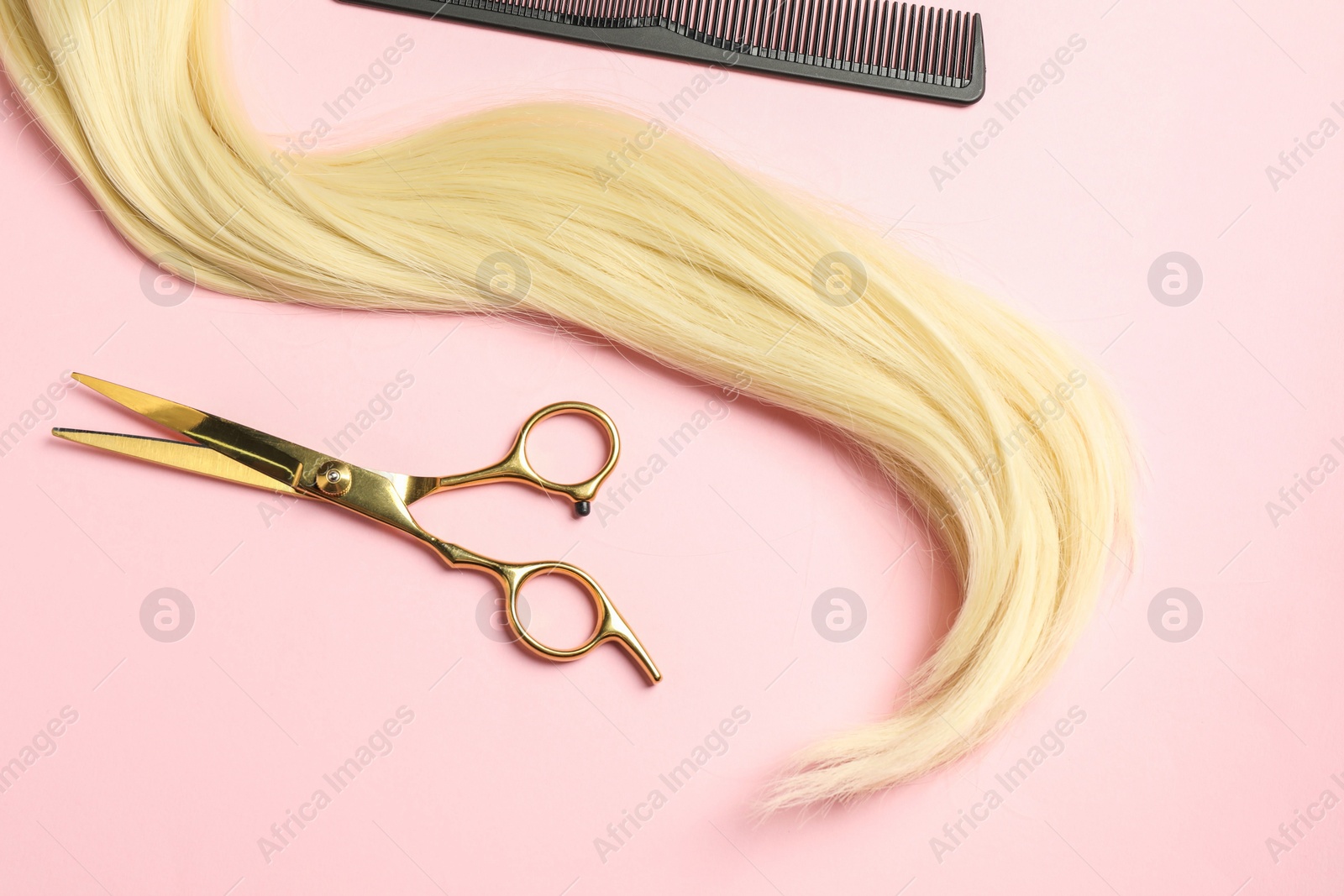 Photo of Professional hairdresser scissors and comb with blonde hair strand on pink background, top view