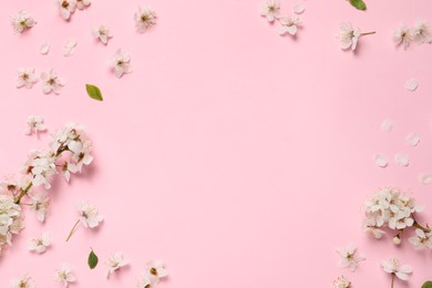 Photo of Frame of spring tree blossoms on pink background, flat lay. Space for text