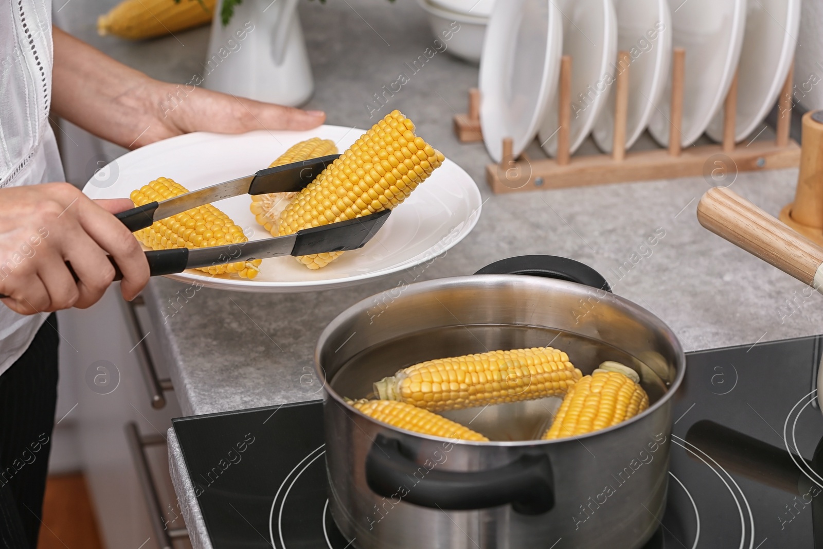 Photo of Woman putting raw corn cob into stewpot on stove, closeup