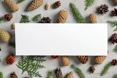 Flat lay composition with pinecones and blank card on light grey background