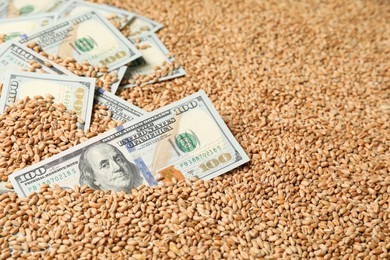 Dollar banknotes on wheat grains, closeup. Agricultural business